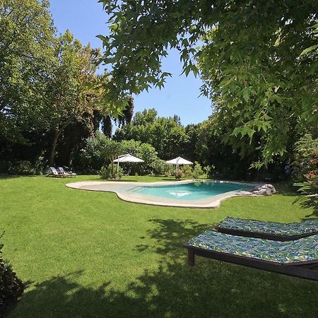 Beluga Of Constantia Guest House Cape Town Exterior photo