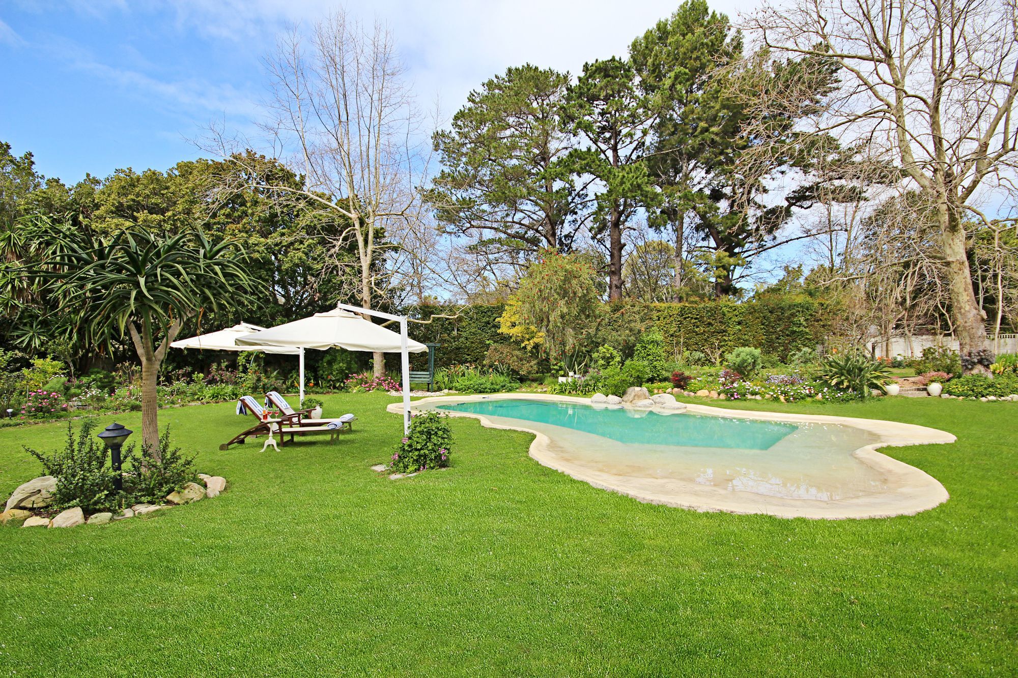 Beluga Of Constantia Guest House Cape Town Exterior photo